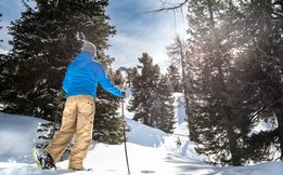 Schneeschuhwanderer stapft durch den verschneiten Wald am Graukogel